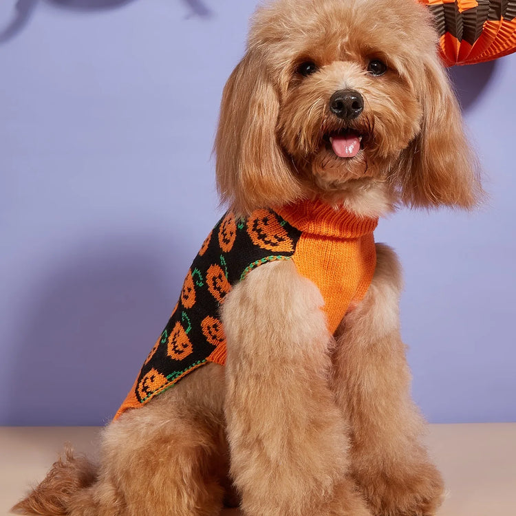 Halloween Dog Sweater Pumpkin Pet Turtleneck Sweater Dog Knitwear Warm Cat Sweatershirt
