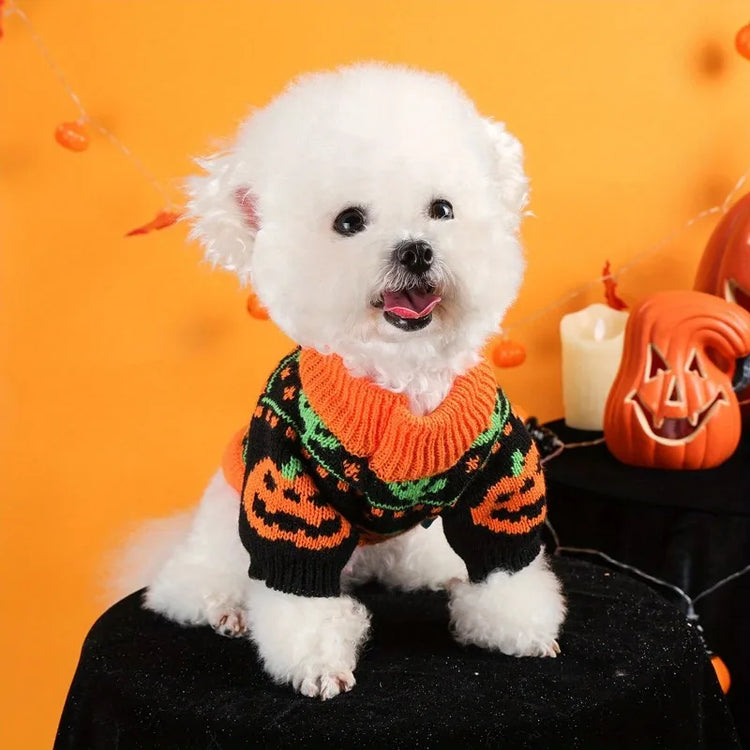 Halloween Pumpkin Knitted Dog Sweater 2025 Winter Pet Clothes Dog Cat Thickened Warm Funny Pullover Elastic Knitted Sweater